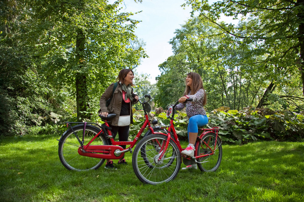 Full Day Bike Rental - From Waterlooplein