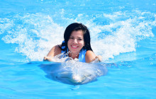 Dolphin Discovery1