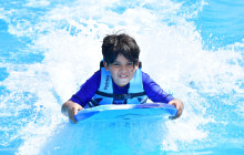 Dolphin Discovery6