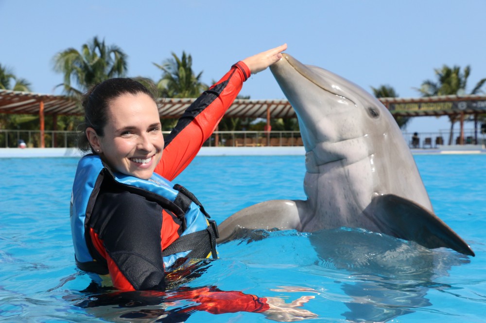 dolphin excursions playa del carmen