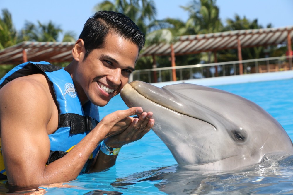 dolphin excursion playa del carmen