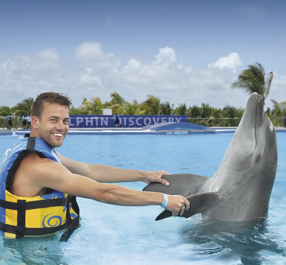 dolphin encounter playa del carmen