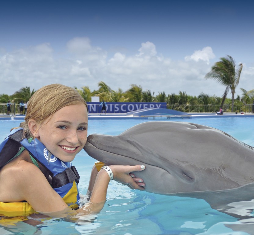 Dolphin Royal Swim: Playa del Carmen