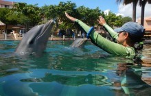 Riviera Maya Puerto Aventuras: Dolphin Swim Adventure Plus
