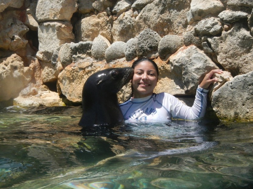 Royal Swim Plus: Rivera Maya Puerto Aventuras