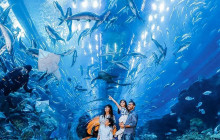 Dubai Frame, Aquarium and Underwater Zoo Super Combo Entry Tickets