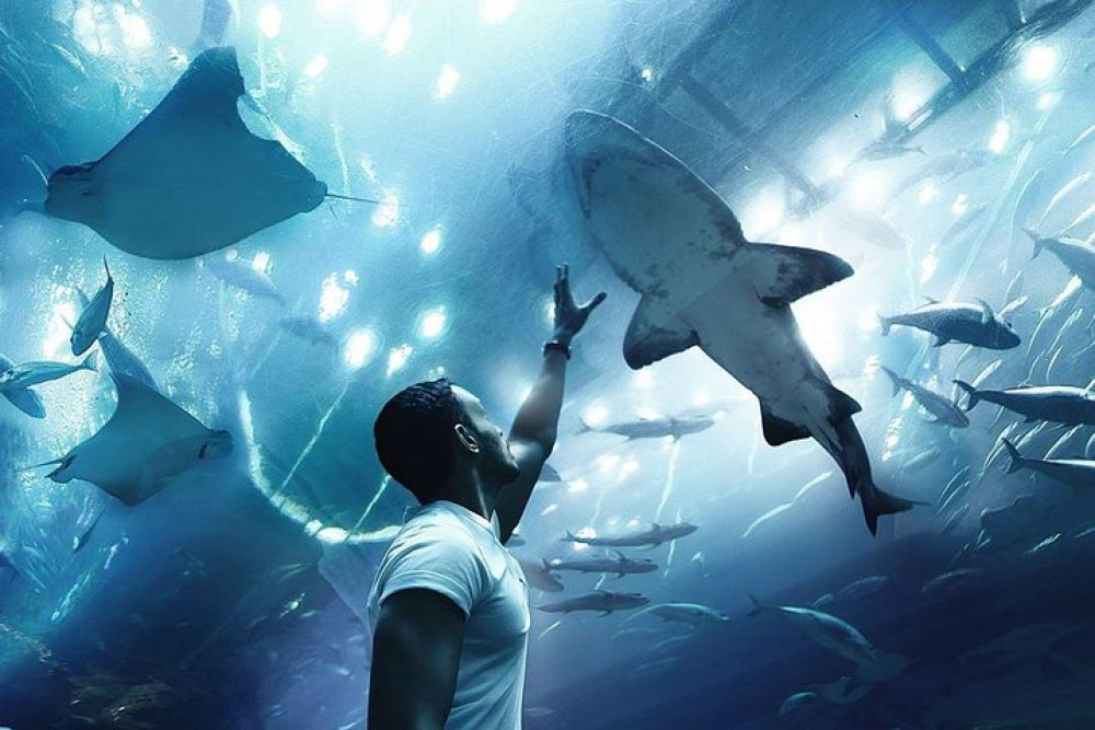 Dubai Frame, Aquarium and Underwater Zoo Super Combo Entry Tickets