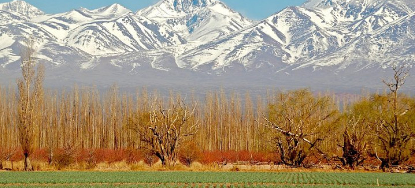 3-Day Getaway for Wine Lovers - Mendoza Experience