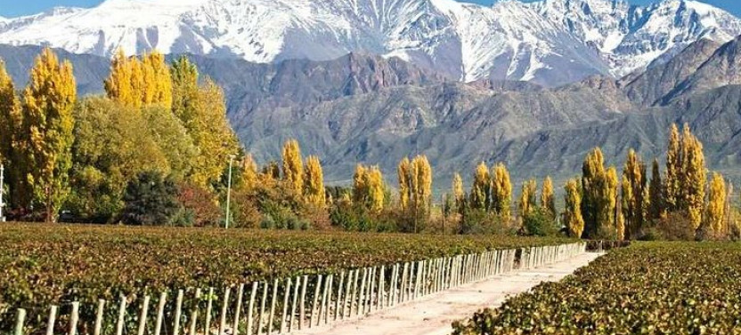 3-Day Getaway for Wine Lovers - Mendoza Experience