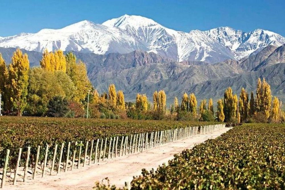 3-Day Getaway for Wine Lovers - Mendoza Experience