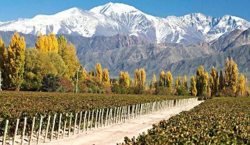 A picture of 3-Day Getaway for Wine Lovers - Mendoza Experience