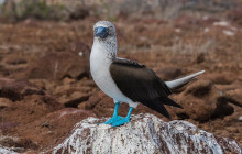 Finch Bay Galapagos Hotel6