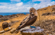 Finch Bay Galapagos Hotel1