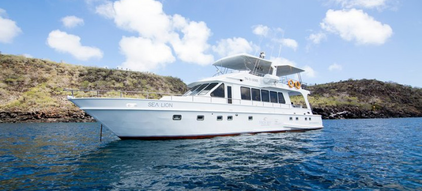 North Seymour Island & Bachas Beach Day Tour On Board Of Sea Lion Yacht
