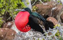 Finch Bay Galapagos Hotel6