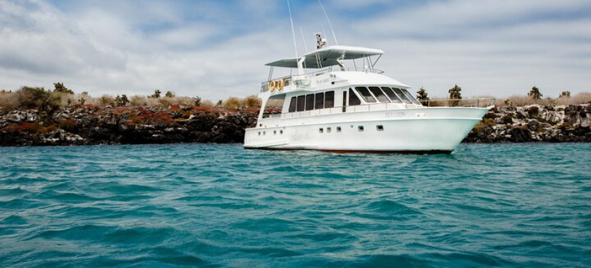 Santa Fé Island Day Cruise On Board Of Sea Lion Yacht
