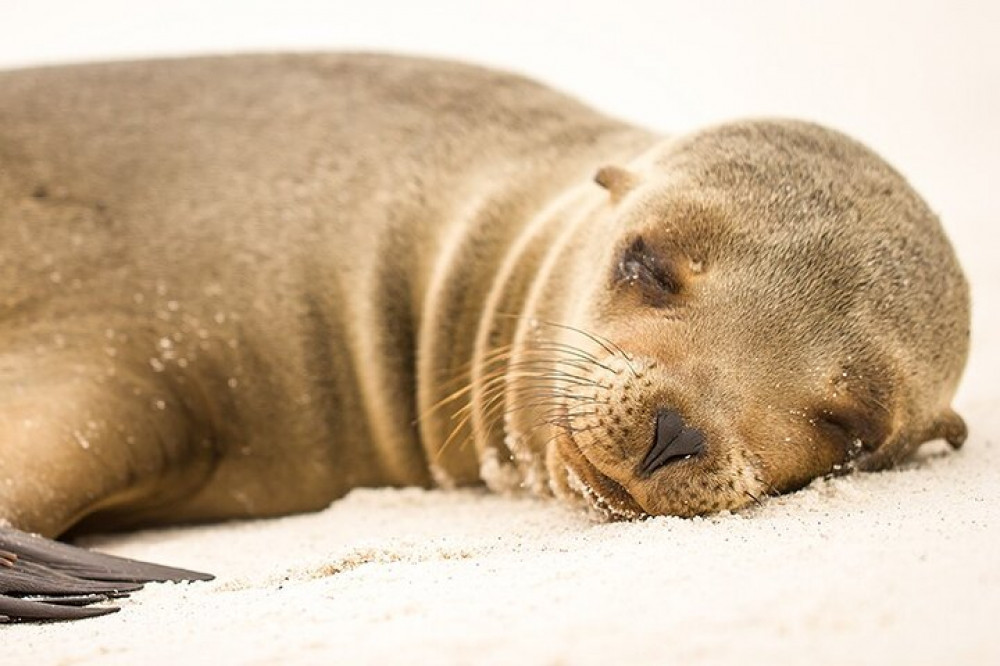 Finch Bay Galapagos Hotel