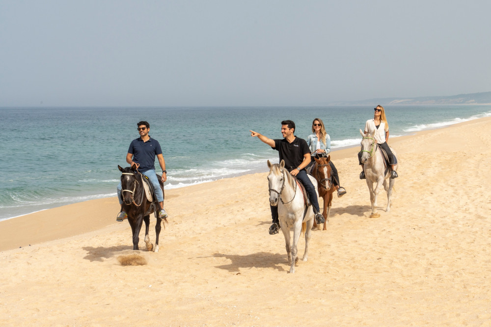 Setúbal & Beach Horse Riding From Lisbon