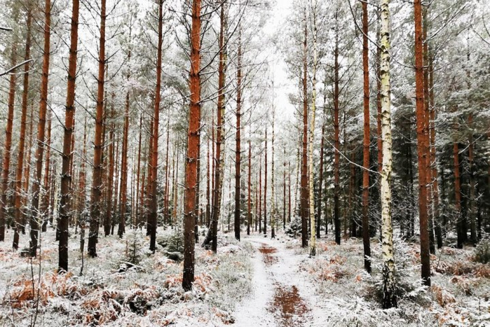 Wild Earth AB / True Nature Sweden