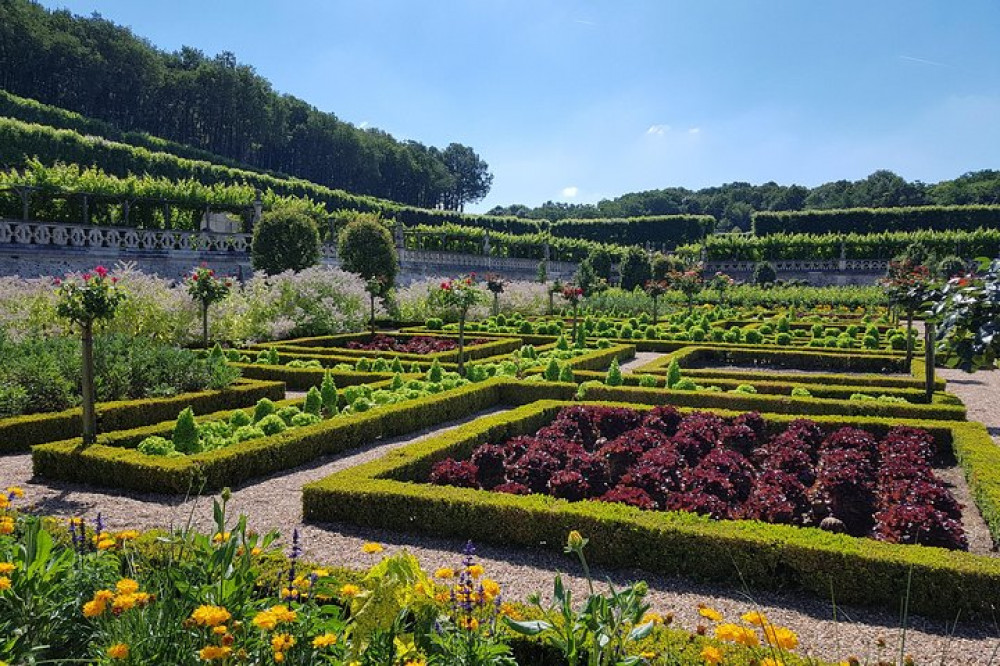 Loire Valley Half Day Tour from City of Tours : Villandry & Azay-le-Rideau