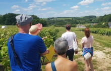 Bordovino Wine Tasting Day Tours4