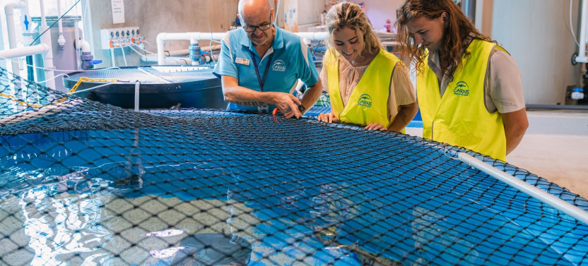 Cairns Aquarium Marine Life Encounter - Back of House Tour with Ecologist