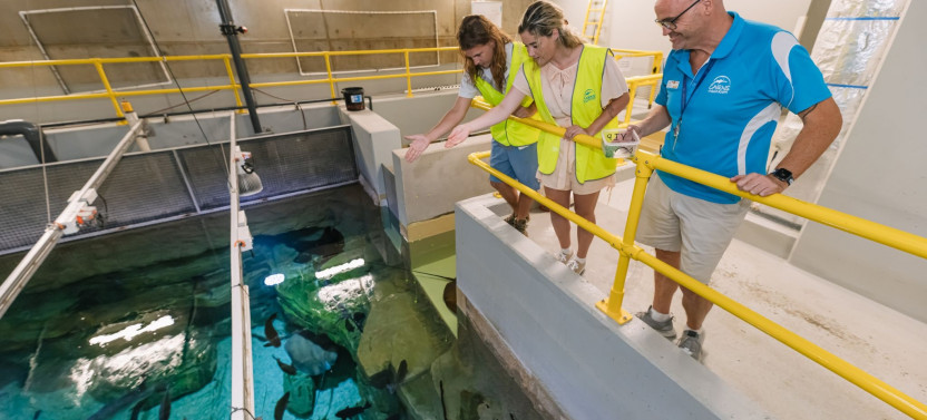 Cairns Aquarium Marine Life Encounter - Back of House Tour with Ecologist