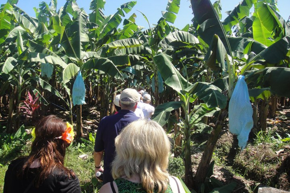 Greenway Nature Tours
