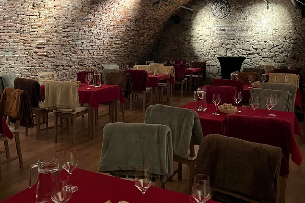 Audioguided Wine Tasting In The Dark! Taste 4 Slovak Wines in Bratislava