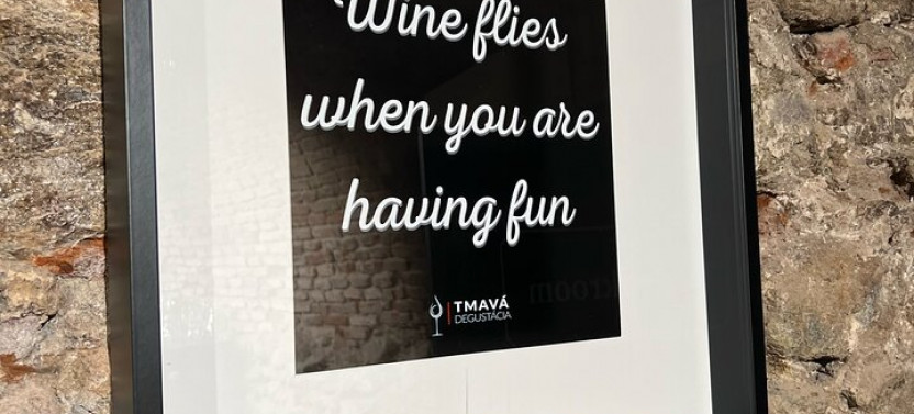 Quick Wine Tasting In Michalská