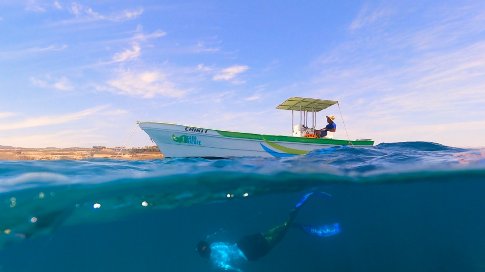 Cabo Boating Trip with Rock Arch Visit and Snorkeling on Coral Reef