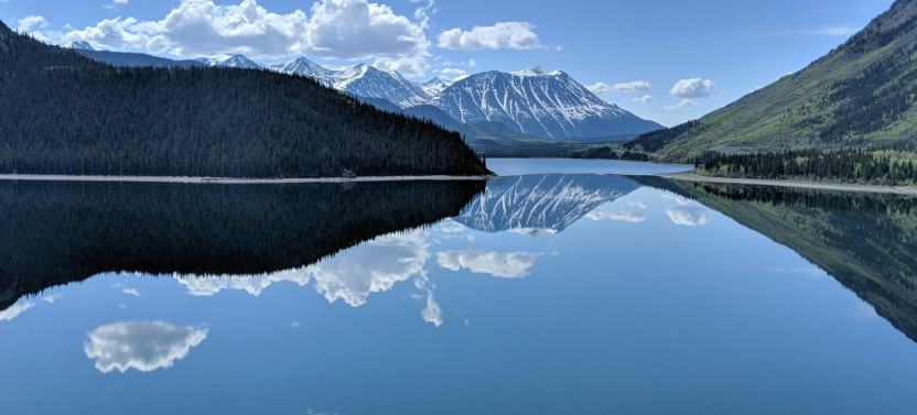 Pet the Puppies, Yukon Experience & Summit Tour