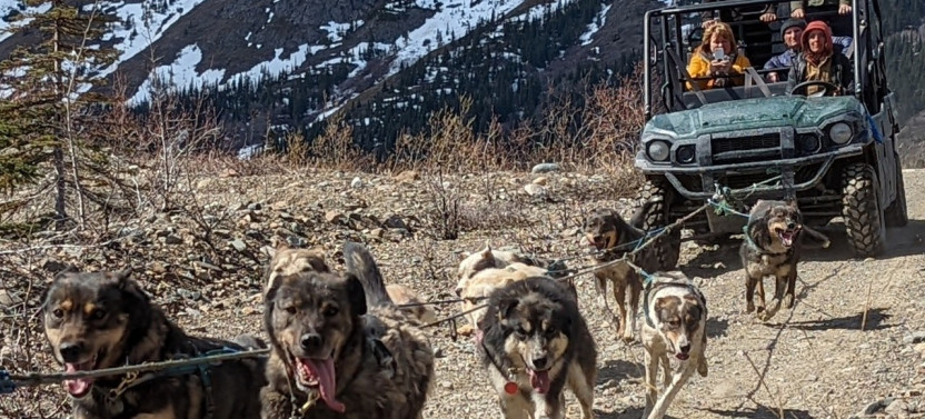 Yukon Sled Dogs & Summit Experience