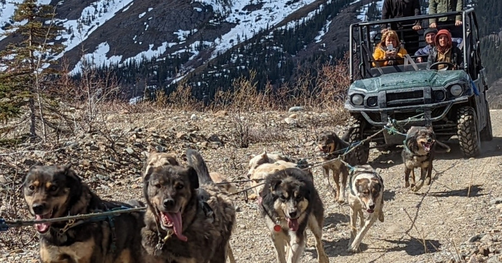 Yukon Sled Dogs & Summit Experience - Skagway | Project Expedition