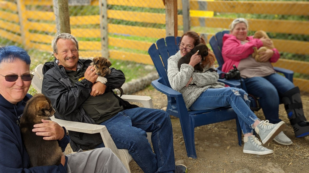 Yukon Sled Dogs & Summit Experience