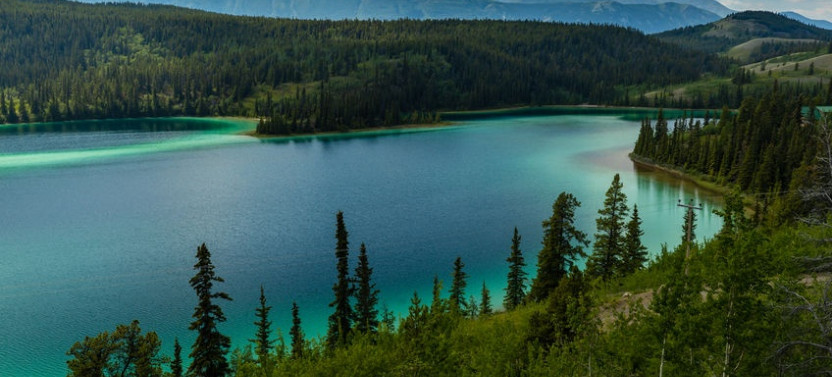 Full Day Yukon Scenic Tour & City Summit