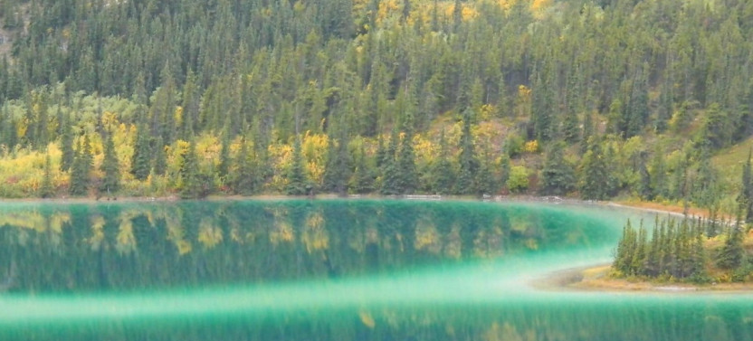 Full Day Yukon Scenic Tour & City Summit