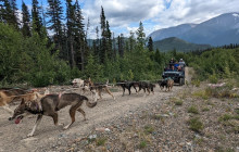 Skagway Tours3