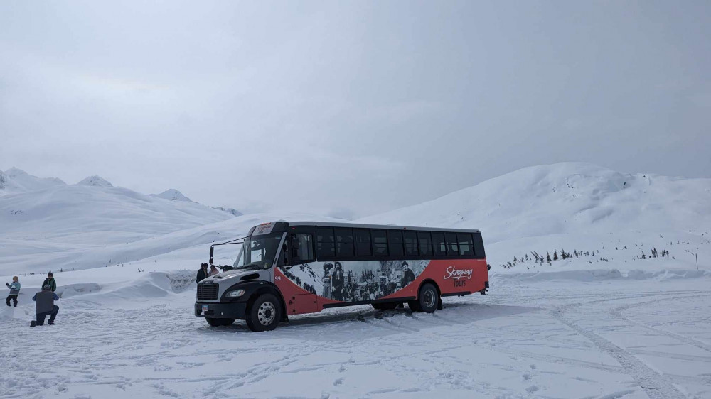 Winter Wonderland Yukon Tour