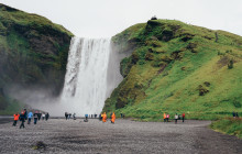 Your Friend in Reykjavik1