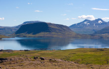 Your Friend in Reykjavik15