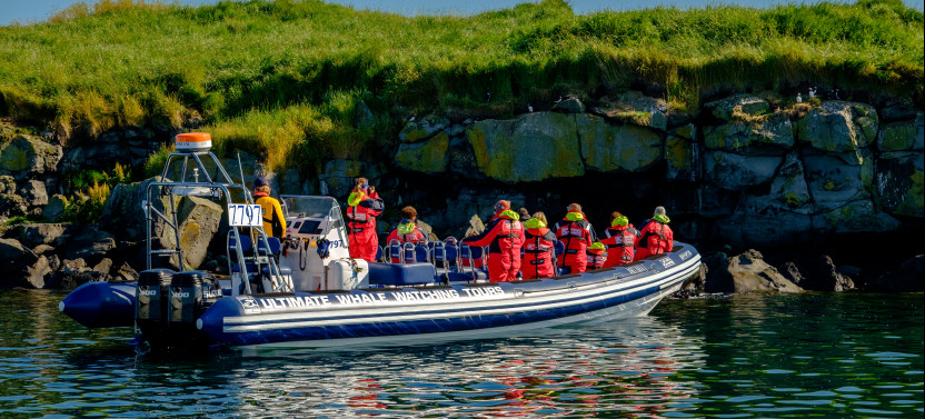 Reykjavík Premium Puffin Tour