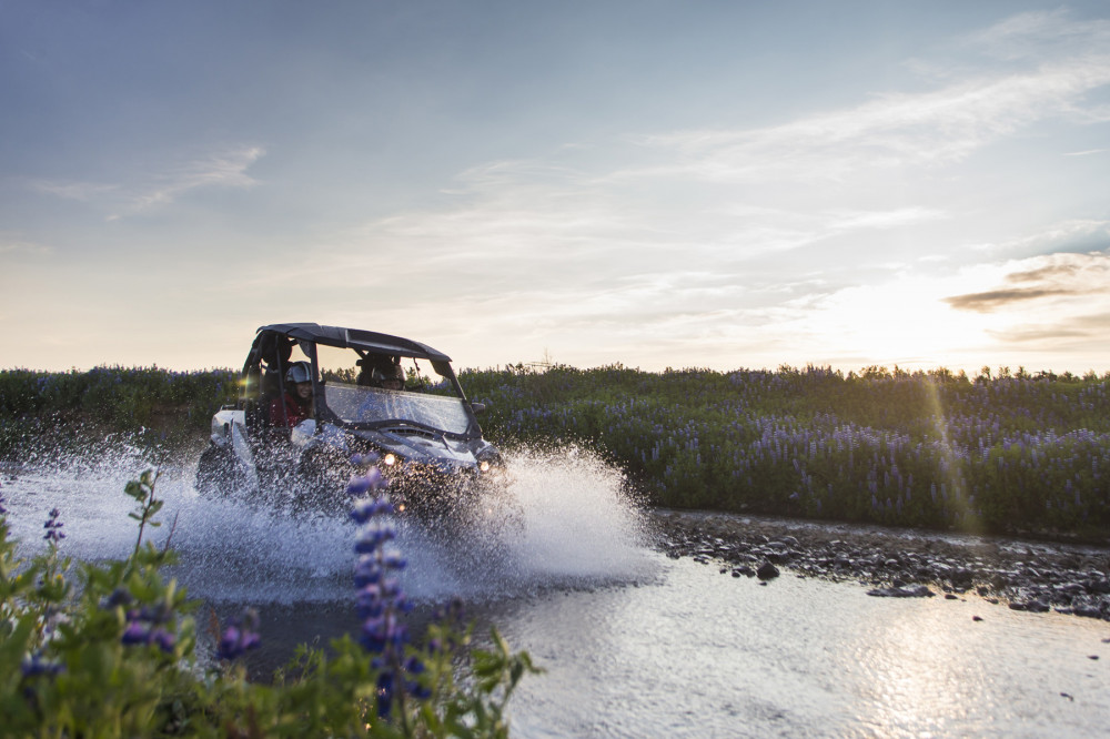 Reykjavík Whale Watching & Buggy Safari Combo Tour