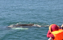 Elding Adventure at Sea3