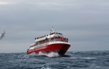 Elding Adventure at Sea5