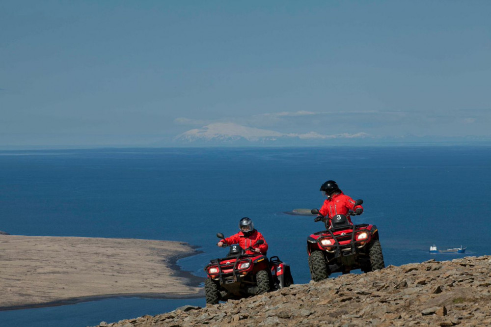 Reykjavík Whale Watching & ATV Tour Combo