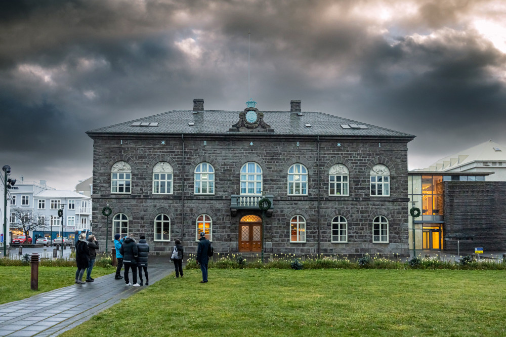 Private Reykjavik City Tour & Food Walking Tour