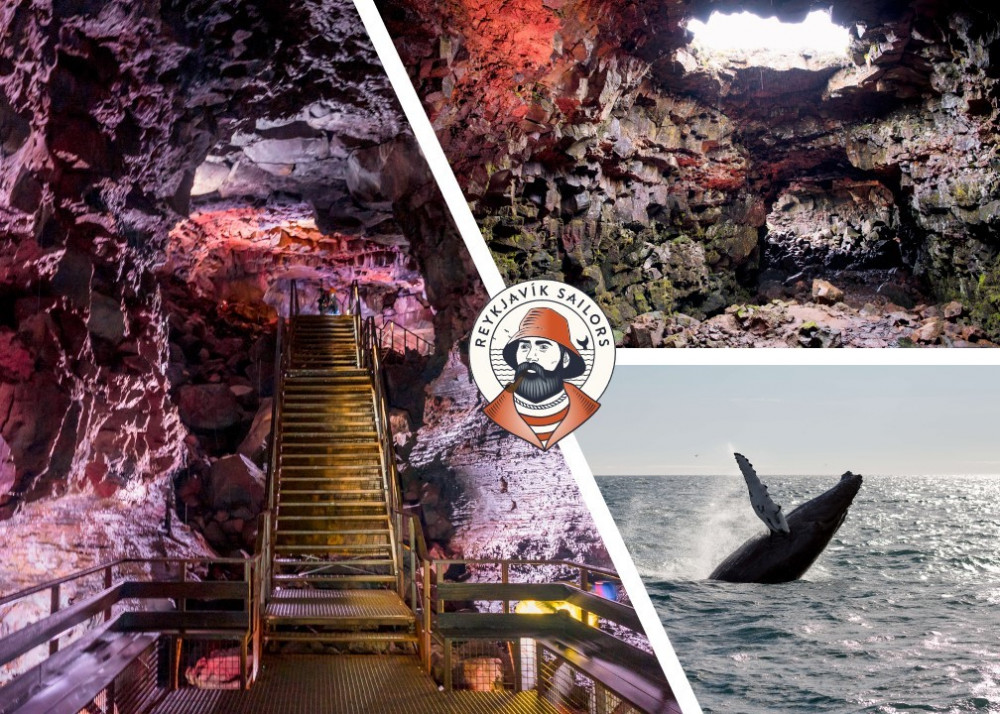 Whale Watching & Lava Tunnel Tour With Transfer From Reykjavik