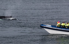 Reykjavik Sailors ehf2