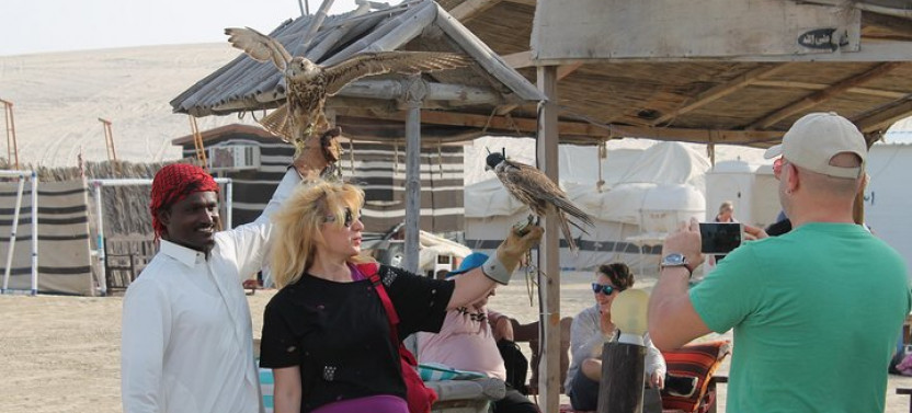 Private South Coast Tour With Camel Ride